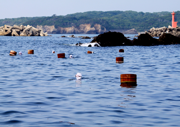 ���H�s����̊C�ŃA���r���̂�C������