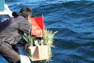 �_�������}�V���M