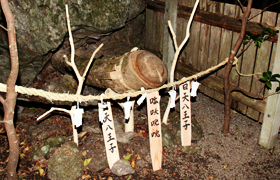 ��ɐ����R�̐_����՗�