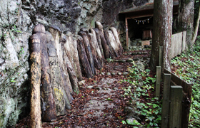 ��ɐ����R�̐_����՗�