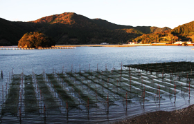 ��ɐ����R�̐_����՗�