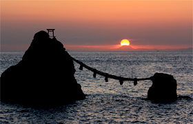 �����C�ʐ^��i�i�v�w��A�x�m�R�A���̏o�������j