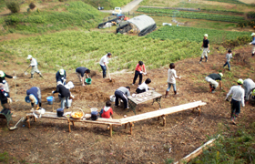 丘陵地帯の草刈