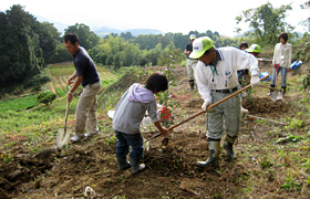 樹を植える体験