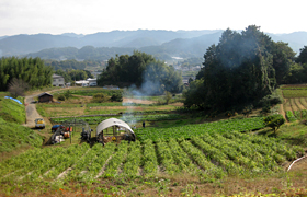 明日香村の畑