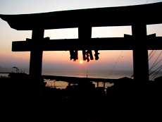 �_���̔���_�ЂŌ���[��