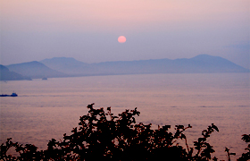 �_������Ō}���钩��