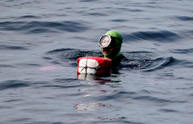 �_���̊C��