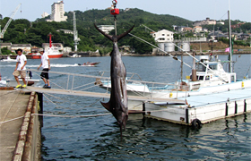 ��14�񒹉H�r���t�B�b�V���g�[�i�����g���ۑ��