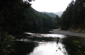 熊野古道の景色