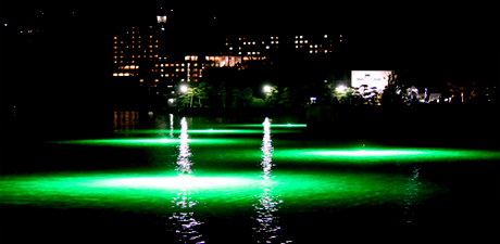 �_���̔���_�ЂŌ���[��