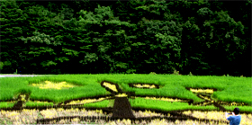 �c��ڃA�[�g