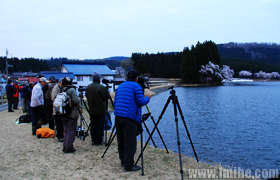 中子の桜を撮るカメラマン