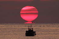 ���z��ǂ������钹�H�l�A�����A���̍ŐV��i