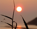 7月8日鳥羽市浦村町麻生の浦湾で見る朝陽