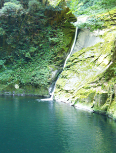 �Ԗڎl�\����