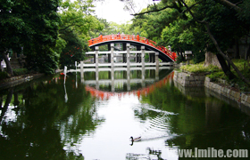 ����ס������Ĳ����ڣ�����ֲ����