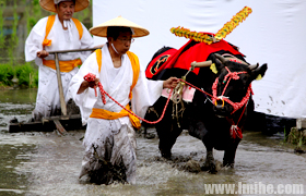 ����ס������Ĳ����ڣ�����ֲ����