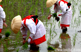 ����ס������Ĳ����ڣ�����ֲ����
