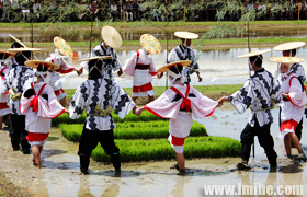 ־Ħ�����ӌm�����ڣ�����ֲ����