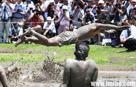 ־Ħ�����ӌm�����ڣ�����ֲ����