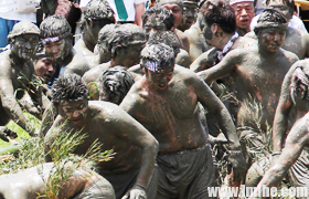 ־Ħ�����ӌm�����ڣ�����ֲ����