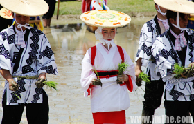 ־Ħ�����ӌm�����ڣ�����ֲ����