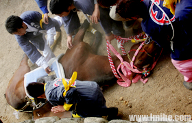 ������������������������