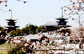 ����ҩʦ��