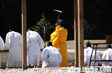 �����񹬹�ʽ���ֽ�