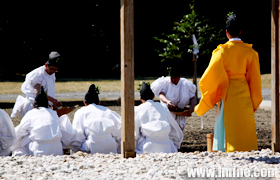 �����񹬹�ʽ���ֽ�