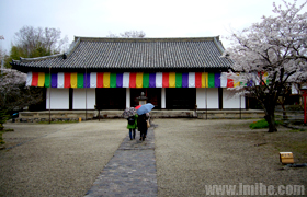 ������ҩʦ��