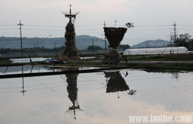 �̺��ع������