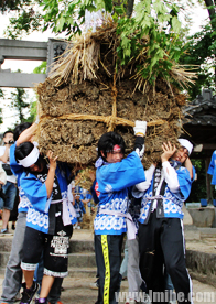 ������Ұ����ʽ�������ͽ���