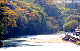 �����������񹬵��񳢼�