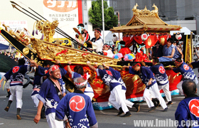 �������н�