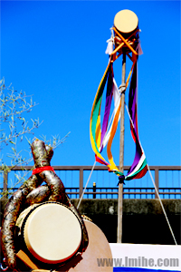 �������ձ�̫�Ľ�