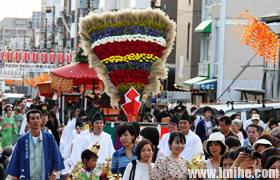 �����Ĳ�Ů��