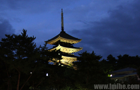 �����Ĳ�Ů��