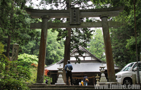 �㵺����������