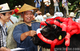 �㵺����������ֲ