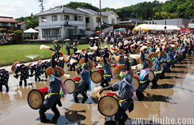 ����������Ļ��Ų���������ֲ