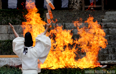 �����������ɴ����ټ�