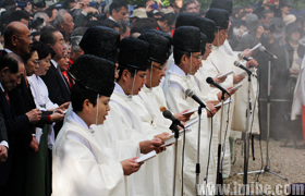 �����������ɴ����ټ�