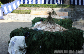 �����������ɴ����ټ�