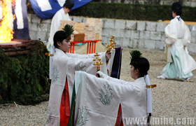 �����������ɴ����ټ�