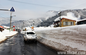 ��Ұ��Ұ����Ȫ