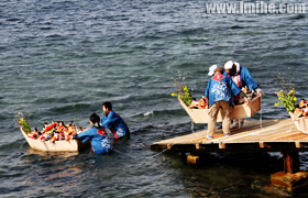 �ձ�Ů���ڵ�������ʽ