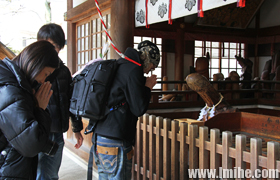 ��֪����������