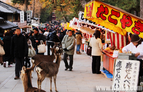 �ձ����У���������ɽ